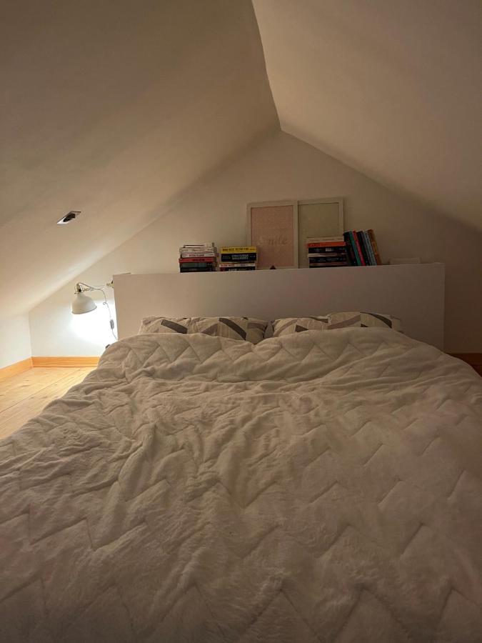 Airport Gate 25 Apartment Ledine Екстериор снимка